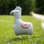 Hodajući balon lama bela sa šarenim ukrasima hoda po travi